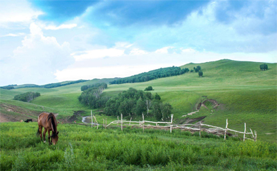 內(nèi)蒙古旅游宣傳片-旅游廣告片-旅游形象片