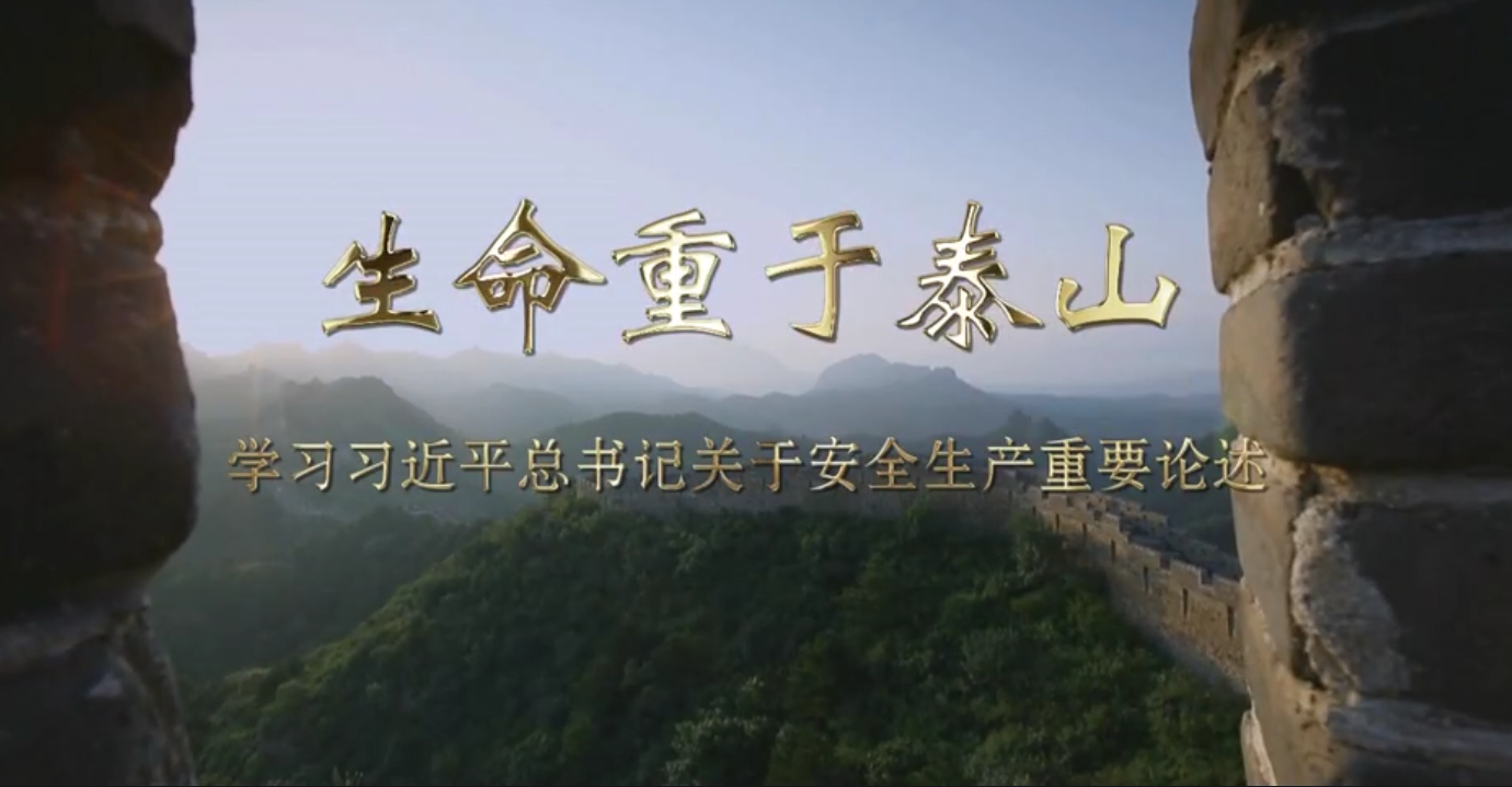 生命重于泰山專題片簡要講解