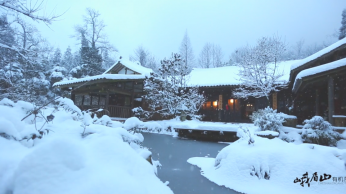 峨眉山有機(jī)茶宣傳片