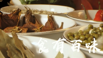 浦江薈餐飲集團 企業(yè)宣傳片