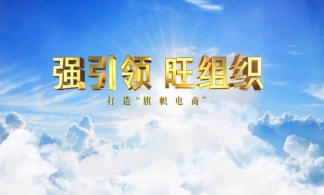 黨建工作匯報(bào)宣傳片